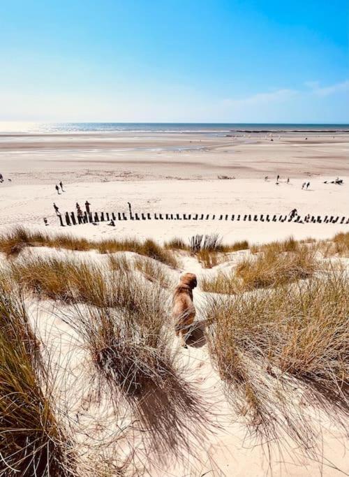 Escapade Berckoise, Berck Plage Extérieur photo
